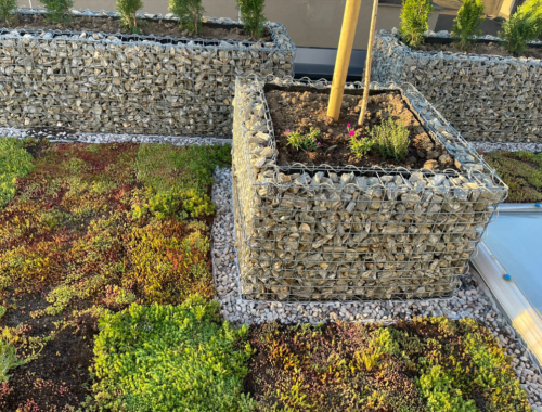 Rekonštrukcia terasy na relaxačnú vegetačnú strechu